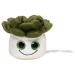 Peluche succulent bedrijfs cadeau