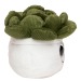 Peluche succulent, peluche reclame