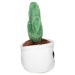 Peluche cactus, peluche publicitaire