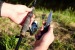 Miniature du produit Couteau loup de mer 3