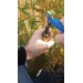 Sommelier 'Allegro Color', double levier, noir cadeau d’entreprise