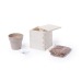 Miniature du produit Pot de menthe avec cache-pot 1