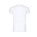 T-shirt Adulte Blanc - Iconic, Textile Fruit of the Loom reclame