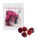 Gommes de fruits 80 % moins de sucre VEGAN, sachet conventionnel cadeau d’entreprise