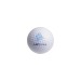 Balle de golf 2 couches standard regalo d'azienda
