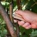 Outil multifonctions Wood, petit cadeau d’entreprise