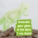 Fossil Excavation Kit I. Jeu éducatif pour enfants cadeau d’entreprise