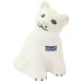 Chat anti-stress cadeau d’entreprise