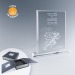 Miniatura del prodotto Trofeo con placca smussata su base 2