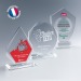 Miniature du produit Trophée octogonal 5
