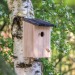 Nichoir rustique, maison et nichoir pour oiseaux publicitaire