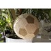 Miniature du produit Ballon de football végétal 5