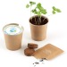 Pappbecher mit Samen, Umweltobjekt Werbung