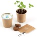 Gobelet en carton avec graines, objet écologique reclame