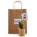 Product thumbnail Cactus in cardboard cup 3