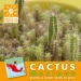 Kaktussamen in Beuteln, Kaktus Werbung