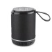 Enceinte sans fil Beat, Enceinte promotionnelle publicitaire