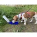 Bouteille pour chien 500ml, accessoire pour chiens et chats publicitaire