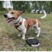 Miniature du produit Le frisbee pour chien personnalisable RINGO 4