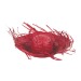 Chapeau Caraïbes 4 couleurs bedrijfs cadeau