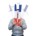 Bangers x2 tricolore cadeau d’entreprise