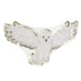 ASSIETTES CHOUETTE APPRENTI SORCIER 32CM X 8, chouette reclame
