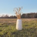 BOUQUET DE CHARDONS SECHES cadeau d’entreprise