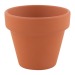 Pot plante basilic regalo d'azienda