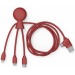 Mr Bio Long - Câble d'1M avec une double entrée type C/USB cadeau d’entreprise