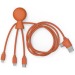 Mr Bio Long - Câble d'1M avec une double entrée type C/USB, câble de chargement publicitaire
