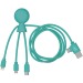 Mr Bio Long - Câble d'1M avec une double entrée type C/USB, câble de chargement publicitaire