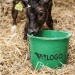 Seau agricole 20L cadeau d’entreprise