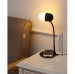 Miniature du produit LAMPE personnalisable INDUCTION HAUT PARLEUR 4