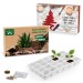 Calendrier de l'Avent à planter cadeau d’entreprise