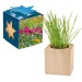 Miniatura del producto Maxi cubo de madera para maceta en estuche de estrella - Mezcla de flores de verano 0