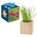 Pot cube bois Maxi en boite star-box - Mélange de fleurs d'été cadeau d’entreprise
