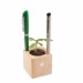 Pot cube bois de bureau - Bulbes de trèfle à 4 feuilles cadeau d’entreprise