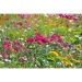 Mini-tonneau en bois - Mélange de fleurs d'été, tonneau pubblicitario
