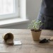 Kit de culture - Bulbes de trèfle à 4 feuilles, trèfle à 4 feuilles pubblicitario