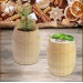 Miniatura del producto Mini barril de madera - Bulbes de trèfle à 4 feuilles 3