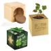 Pot cube bois mini avec bulbes de trèfle à 4 feuilles en boite Star-Box - sans gravure laser cadeau d’entreprise