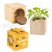 Pot cube bois mini avec bulbes de trèfle à 4 feuilles en boite Star-Box - sans gravure laser cadeau d’entreprise