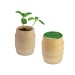 Miniatura del producto Mini barril de madera - Cresson de jardin 0