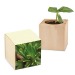 Pot cube bois Mini de Noël - Epicéa - Epicéa cadeau d’entreprise