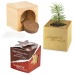 Pot cube bois mini avec graines d'épicéa en boite Star-Box - Epicéa cadeau d’entreprise