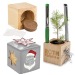Topfwürfel aus Holz für den Schreibtisch in einer Star-Box - Fichte Geschäftsgeschenk