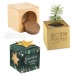Pot cube boisde bureau en boite star-box - Epicéa cadeau d’entreprise