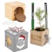 Pot cube boisde bureau en boite star-box - Epicéa, sapin de Noël publicitaire