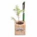 Pot cube boisde bureau en boite star-box - Epicéa cadeau d’entreprise