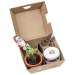 Coffret cadeau de Noël - Pots en argile, Père Noël en chocolat, moules pour sapin de Noël et un verre de confiture d'orange regalo d'azienda